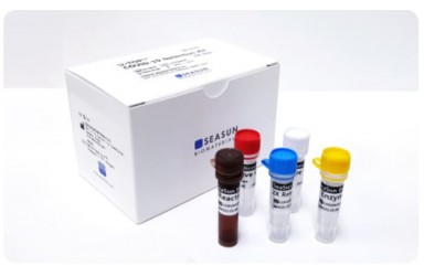 [COVID-19] SEASUN AQ-TOP (RT-PCR) Rapid Test KIT (test in 30minutes!!!)