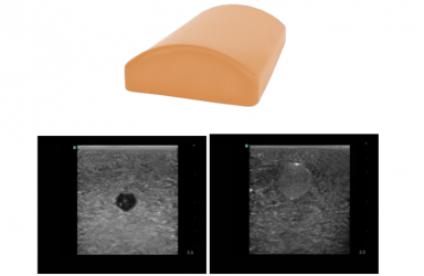[PC-BPE025] 연조직 생검 초음파 팬텀