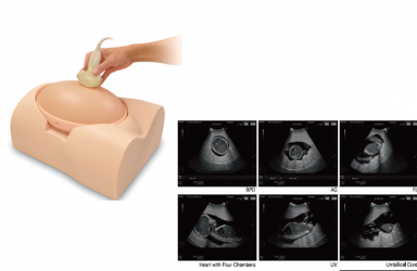 [US-7] 태아 초음파 진단 팬텀