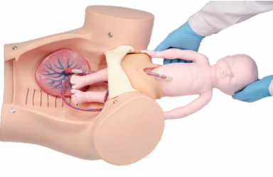 [PC-OBE001.02] 출산(분만) 실습 마네킨